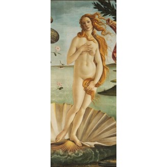 grafica prodotto rivestimento per porta la venere botticelli